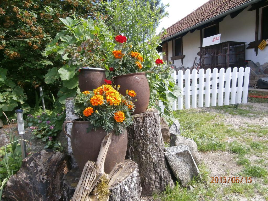 Straznica Komtura Apartment Mikołajki Bagian luar foto