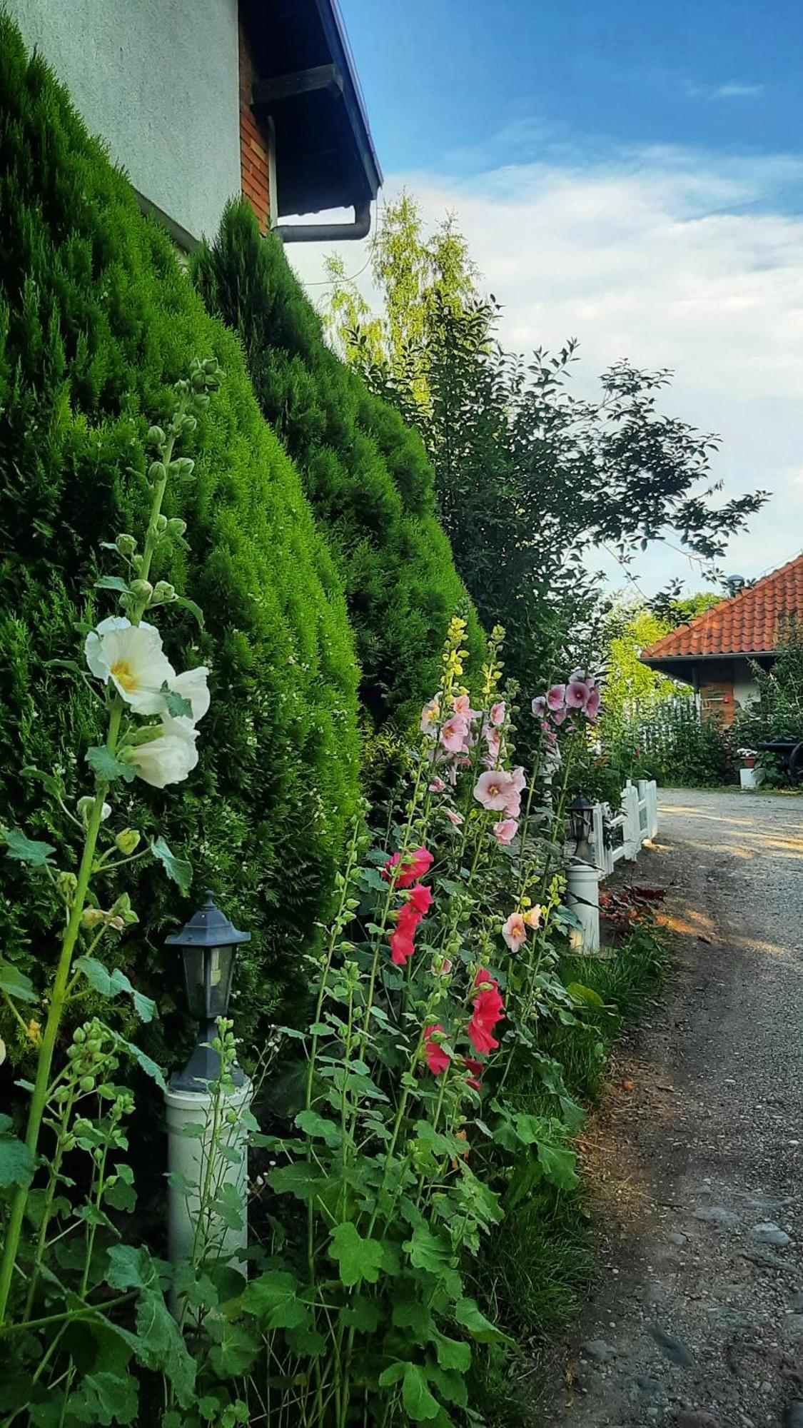 Straznica Komtura Apartment Mikołajki Bagian luar foto