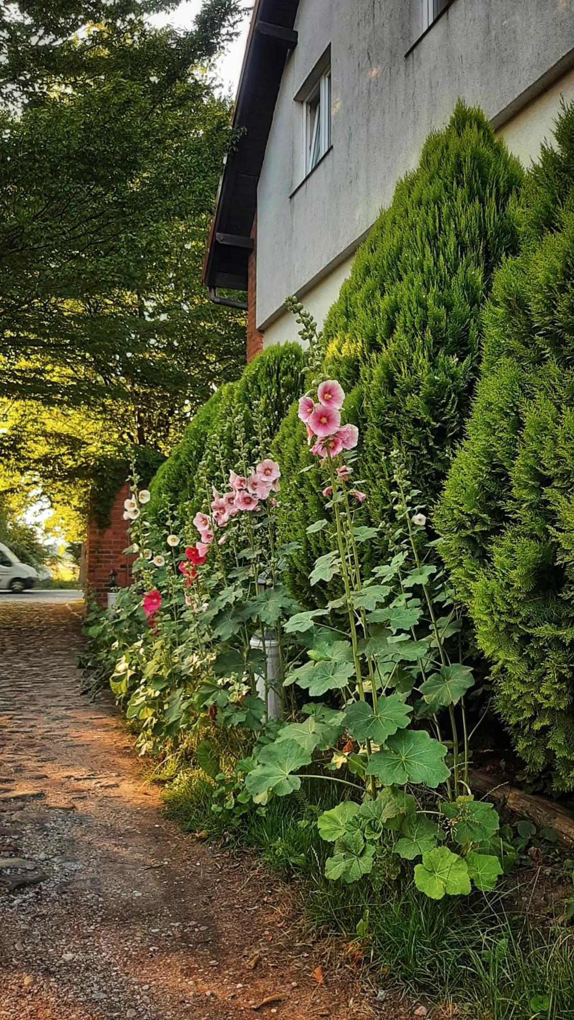 Straznica Komtura Apartment Mikołajki Bagian luar foto