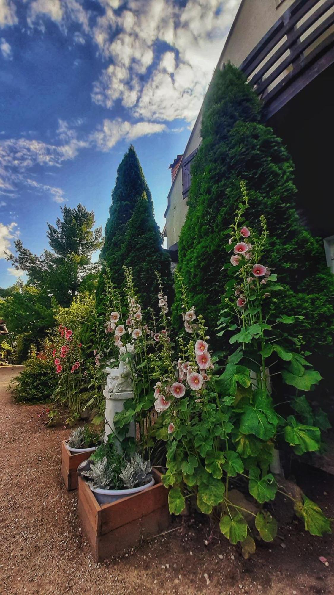 Straznica Komtura Apartment Mikołajki Bagian luar foto